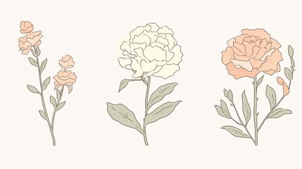 Minimal floral arrangement, three flowers