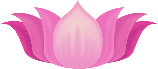 Lotus flower illustration