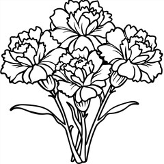 Carnation Flower Bouquet outline illustration coloring book page design, Carnation Flower Bouquet black and white line art drawing coloring book pages for children and adults