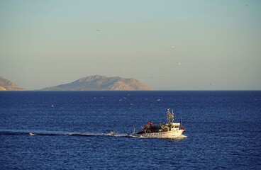 A fishing boat and seagulls at sea near sunset close to the shore of Vouliagmeni in Attica, Greece