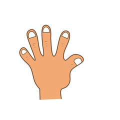 Illustration of human left hand fingers
