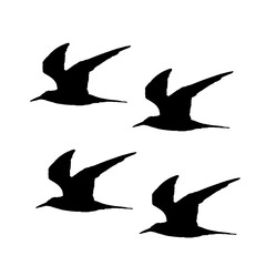 Flying bird silhouette