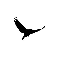 Flying bird silhouette