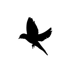 Flying bird silhouette