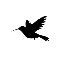 Obraz premium Flying bird silhouette