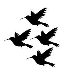 Flying bird silhouette