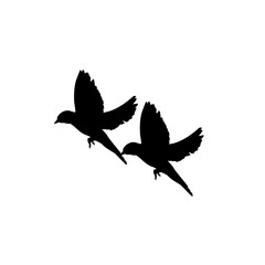Flying bird silhouette