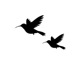 Flying bird silhouette