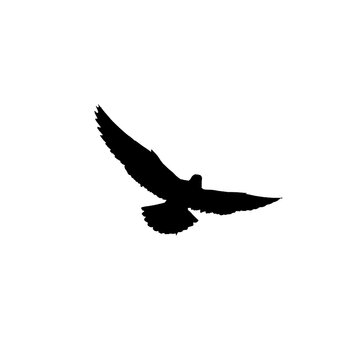 recommend clip art: Flying bird silhouette