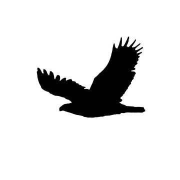 recommend clip art: Flying bird silhouette