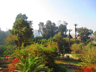 The Fish Grotto Garden in Cairo in Egypt