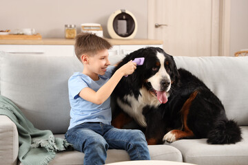 Boy brushing cute fluffy dog on sofa in living room