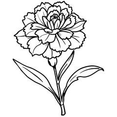 Carnation flower plant outline illustration coloring book page design, 
Carnation flower plant black and white line art drawing coloring book pages for children and adults