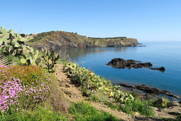 Sentier Littoral Cerbère à Argelès-sur-Mer