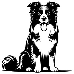 Border Collie Dog Illustration.