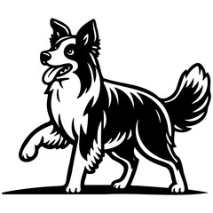 Border Collie Dog Illustration.