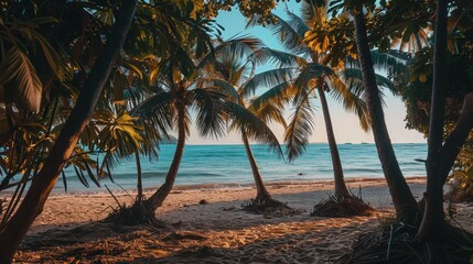 A beach with palm trees and the ocean in the background
