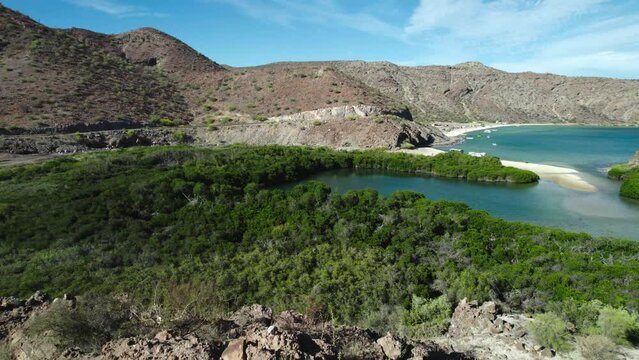 Flying Towards Mangrove Trees Near Playa Santispac In Mulege, Baja Calfornia Sur, Mexico. drone shot