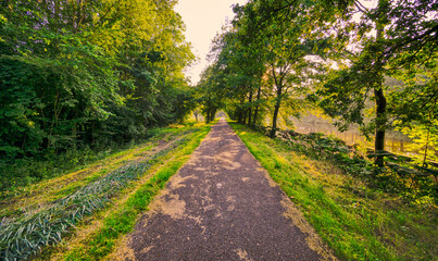 Fototapeta premium Long bicycle path along the Wilhelminakanaal canal. Featuring lots of trees.