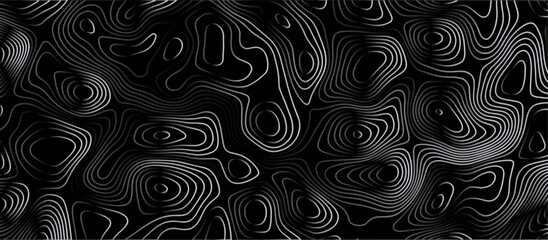 Abstract black background paper cut style with white wave curve line Luxury concept. Panorama view topography map contour background. Vector illustration. Line topography map contour background.