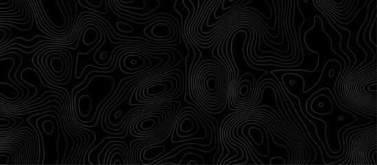 Abstract black background paper cut style with white wave curve line Luxury concept. Panorama view topography map contour background. Vector illustration. Line topography map contour background.