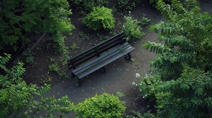 Wooden bench in green outdoor garden