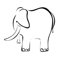 Elefant 