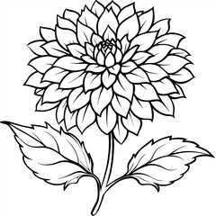 Chrysanthemum flower plant outline illustration coloring book page design, Chrysanthemum flower plant black and white line art drawing coloring book pages for children and adults