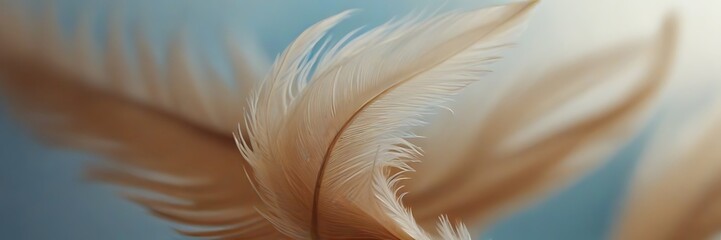 Feather texture background in the style of peach fuzz tune
