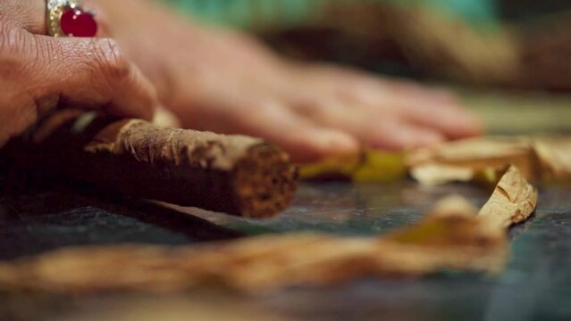 A man rolls tobacco by hand to make a cigar