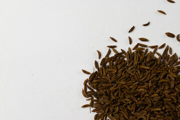 caraway seeds - Powered by Adobe