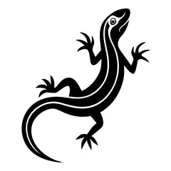 lizard isolated on white