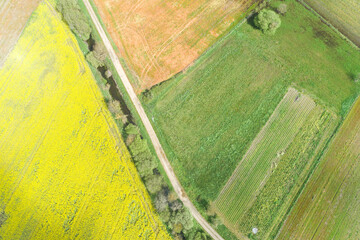 a road between plowed agricultural fields and other cultivated fields of wheat and rapeseed, aerial view shot with drone