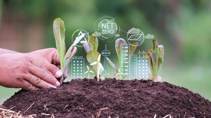 Net zero carbon neutral with plant and city, wind turbines, solar panels, and recycling icons...
