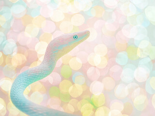 Fototapeta premium 絵本に出てきそうな パステルカラーの優しい雰囲気の蛇