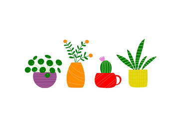 カラフルな観葉植物ポストカード