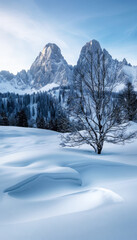 Obraz premium Snowy alpine landscape with a lone tree and mountain peak under blue sky.