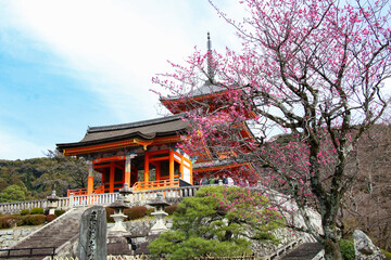 Fototapeta premium Kyoto, Japan, March 2024, Buddhist Temple Kiyomizu-dera Niomon Gate in spring