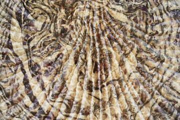 close up of a pile of wool