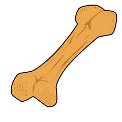 dog bone isolated on white png illustration 