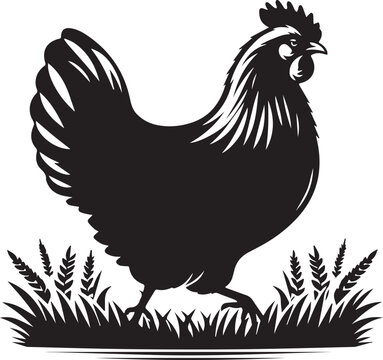 recommend clip art: Hen Vactor -Rooster and Chicken -Hen Chicken Silhoutte Images