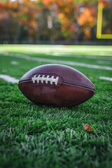 Obraz premium American football on football field background 