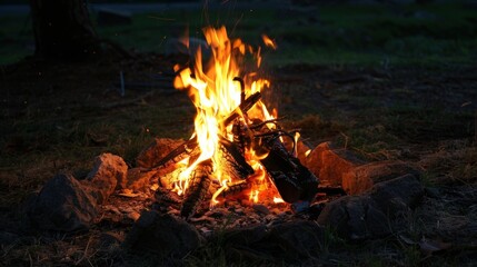 The crackle of the fire mixes with the sound of crickets in the distance.