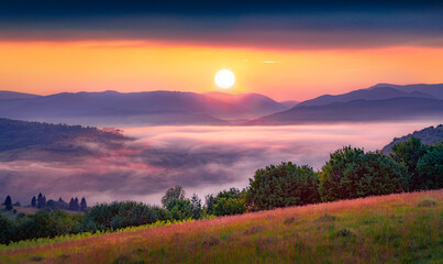 Stunning summer view of misty rolling hills. Misty morninig scene of Carpathian mountains at July...