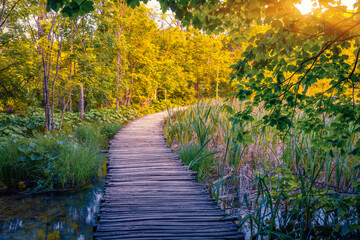 Wooden walkpath in Plitvice National Park. Calm summer sunrise in green forest with pure water...