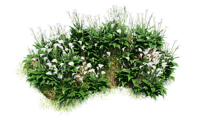 3D render various types of flowers grass bushes shrub and small plants on transparent background