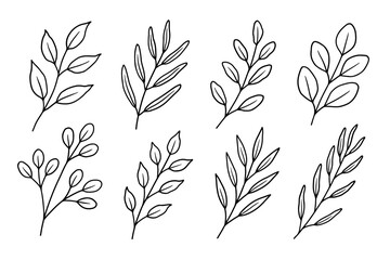 Set of hand-drawn branches with leaves