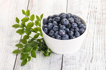 Ripe sweet blueberry in the bowl