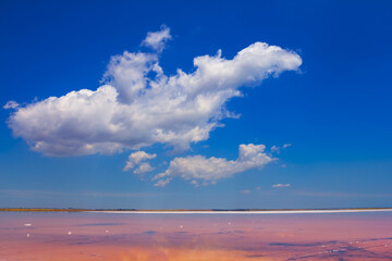 pink saline lake under blue cloudy sky