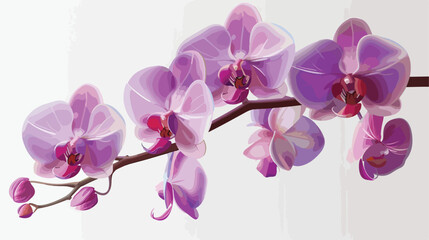 Beautiful orchid flower on white background Vector illustration